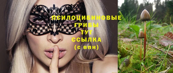 эйфоретик Алзамай