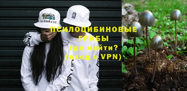 эйфоретик Абаза