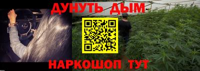 гидра Рузаевка