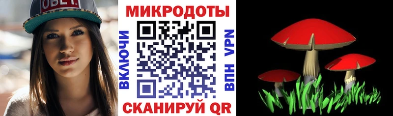 Галлюциногенные грибы Psilocybe  Нягань 