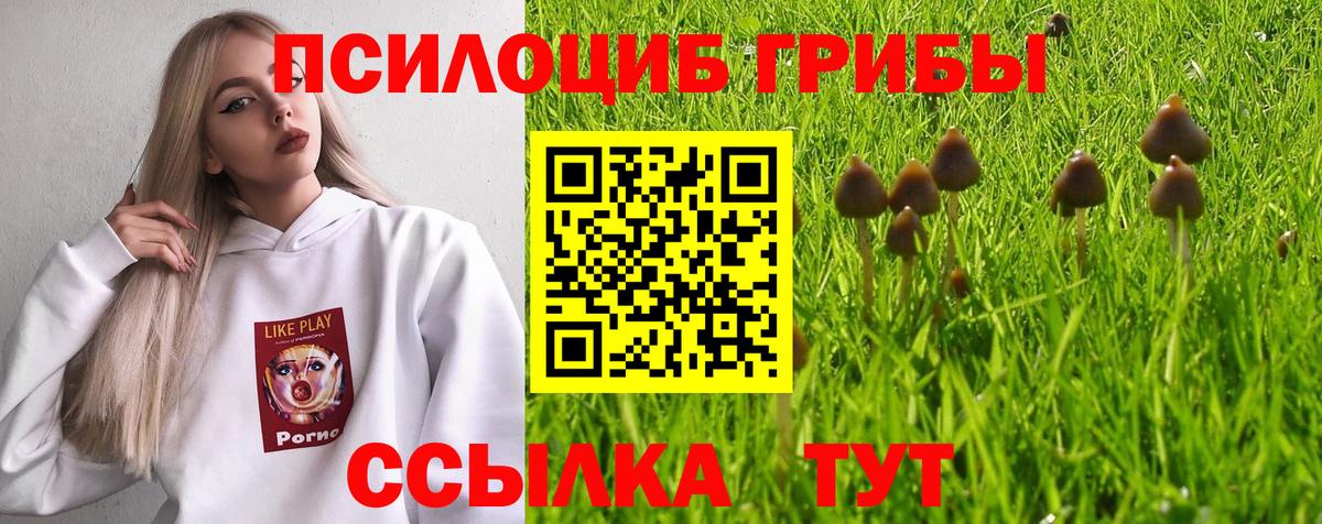 Галлюциногенные грибы Psilocybine cubensis  Вход с VPN  Нягань 