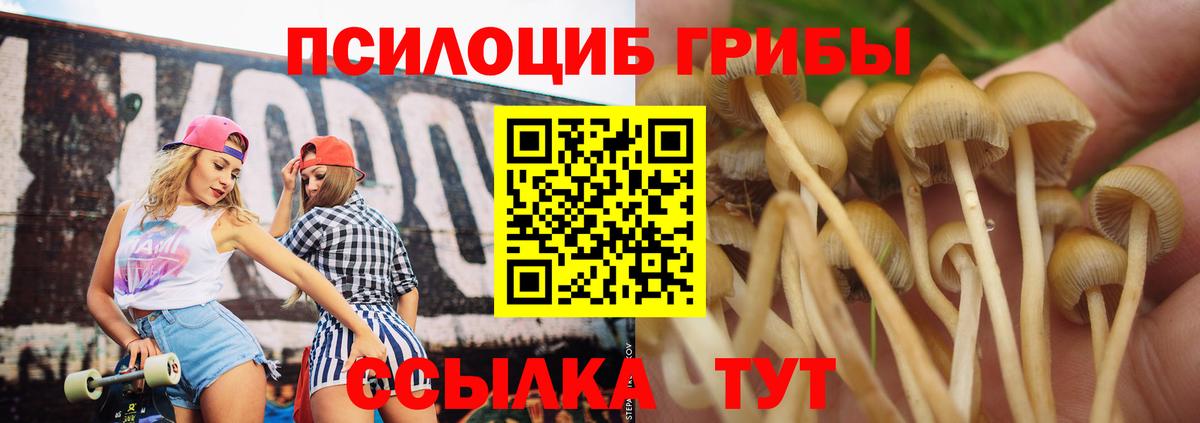 Галлюциногенные грибы мухоморы Нягань